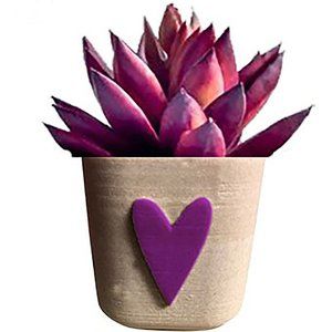 Succulent Planter, Cement Planter, Cement Planter with Decorative Heart